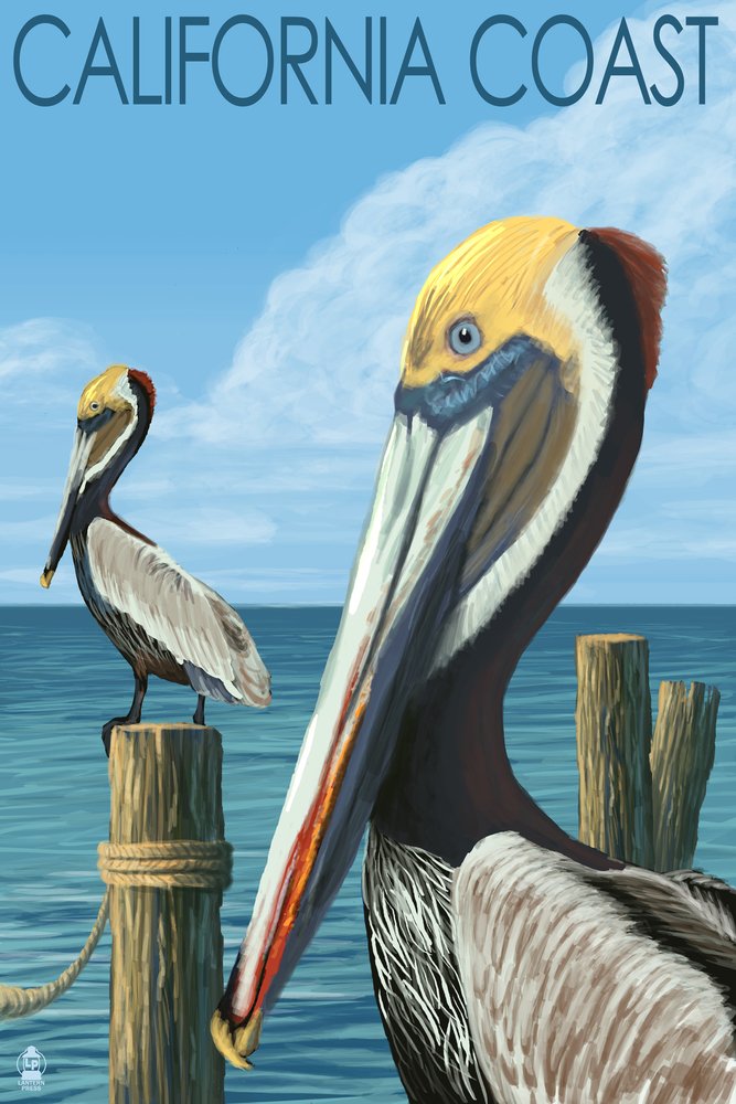 California Coast Pelicans Metal Wall Art - 16x24 Gallery Quality Aluminum Decor for Living Room, Bedroom & Office