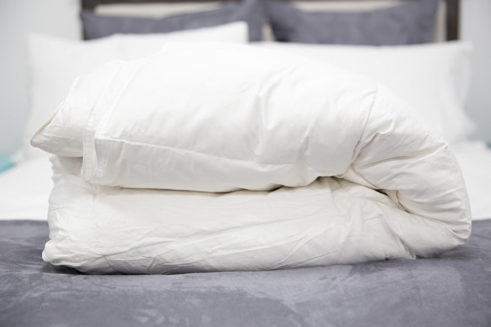 Premium Pillowtex Classic Weight Feather & Down Comforter - All-Season Luxury Bedding for Ultimate Comfort | Perfect for Master Bedrooms, Guest Rooms & Cozy Nights