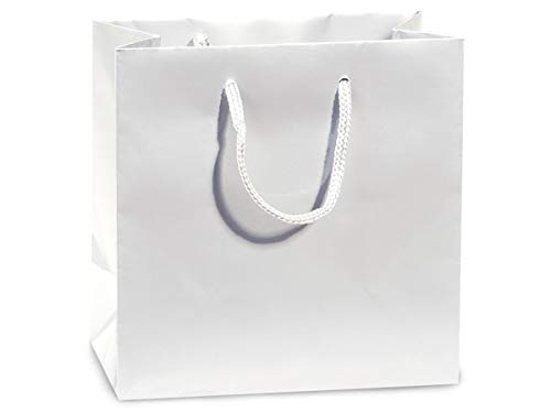 10 Pack White Glossy Gift Bags 4x2.5x4 Inches - Small Party Favor Bags for Birthdays, Weddings, Christmas & Special Occasions | Perfect for Candy, Jewelry & Small Gifts