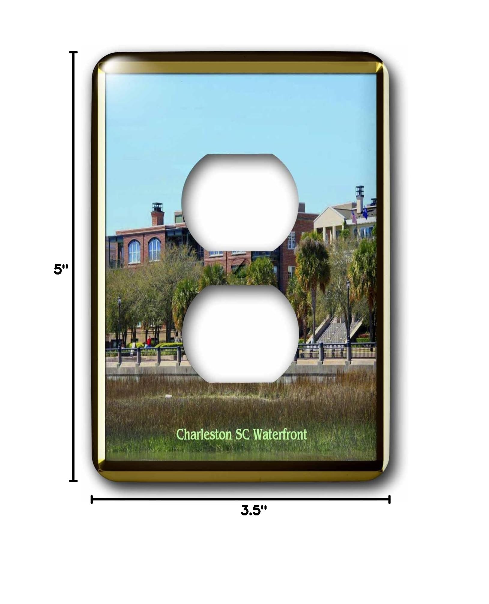 3D Rose Charleston SC Waterfront Outlet Cover - Decorative Electrical Plate - Perfect for Home, Office, and Gifts - Coastal Decor for Living Room, Bedroom, or Kitchen
