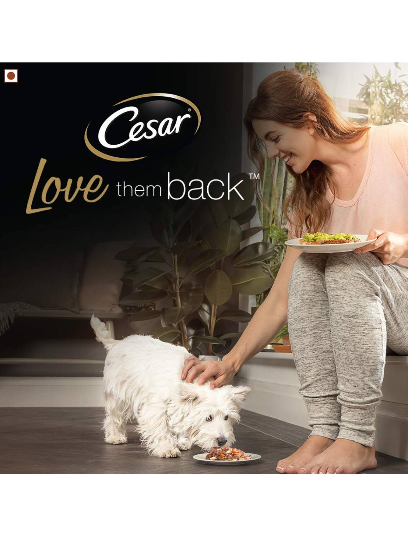 Premium Cesar Salmon with Potato & Carrot Wet Dog Food - 100g Can, Grain-Free Recipe for Small & Medium Breeds - Perfect for Mealtime, Training Treats & Travel Snacks