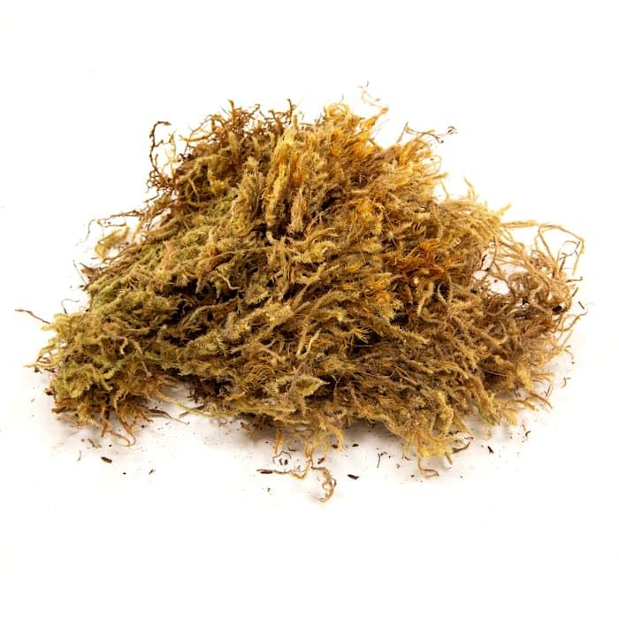 Premium Zoo Med All Natural Reptile Terrarium Moss Substrate - Ideal for Reptile Habitat, Terrarium Bedding & Vivarium Decor (10L) | Perfect for Frogs, Snakes & Lizards | Moisture-Retaining & Odor Control