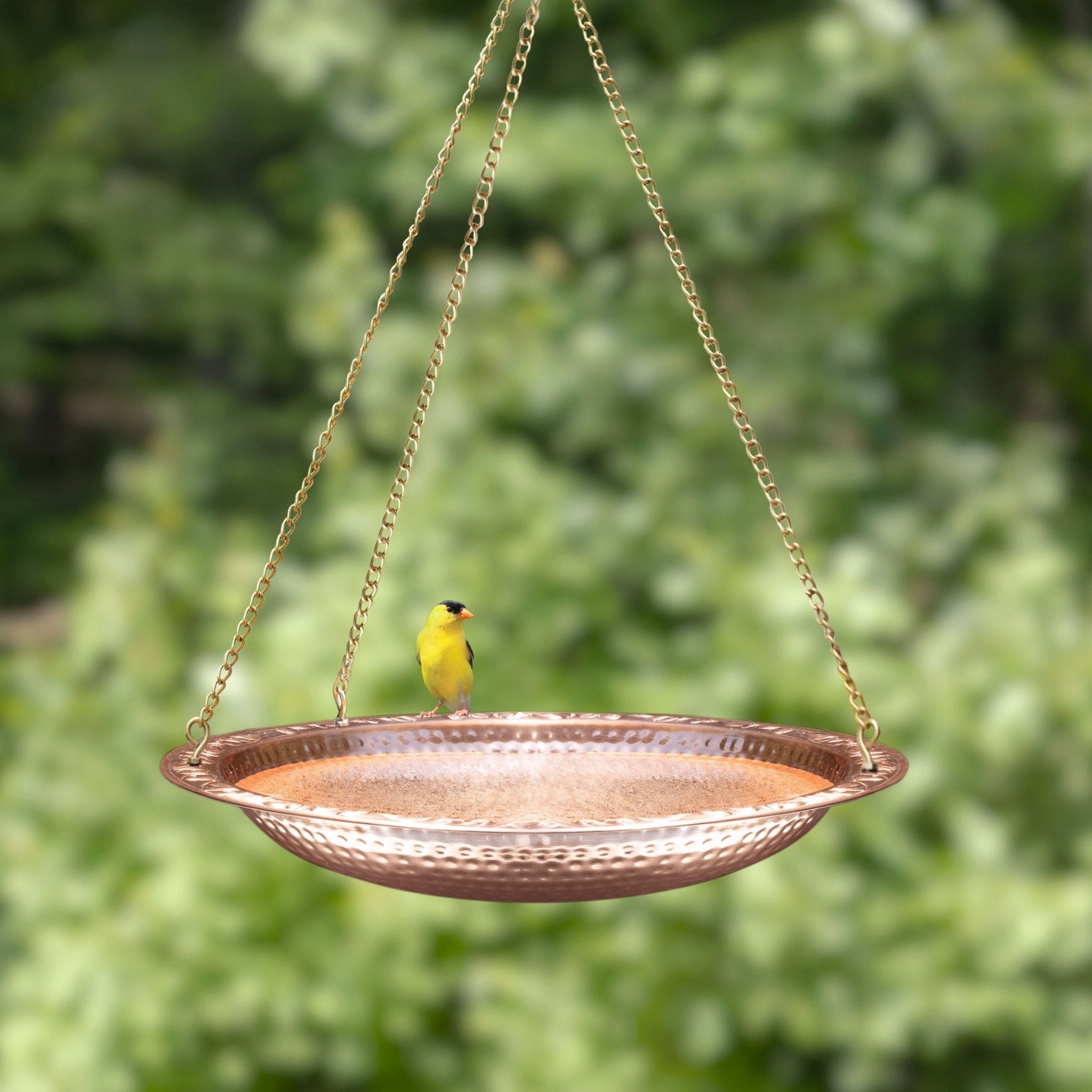 18-Inch Hanging Pure Copper Bird Bath for Garden, Patio & Outdoor Decor - Attracts Birds & Enhances Landscape Aesthetics