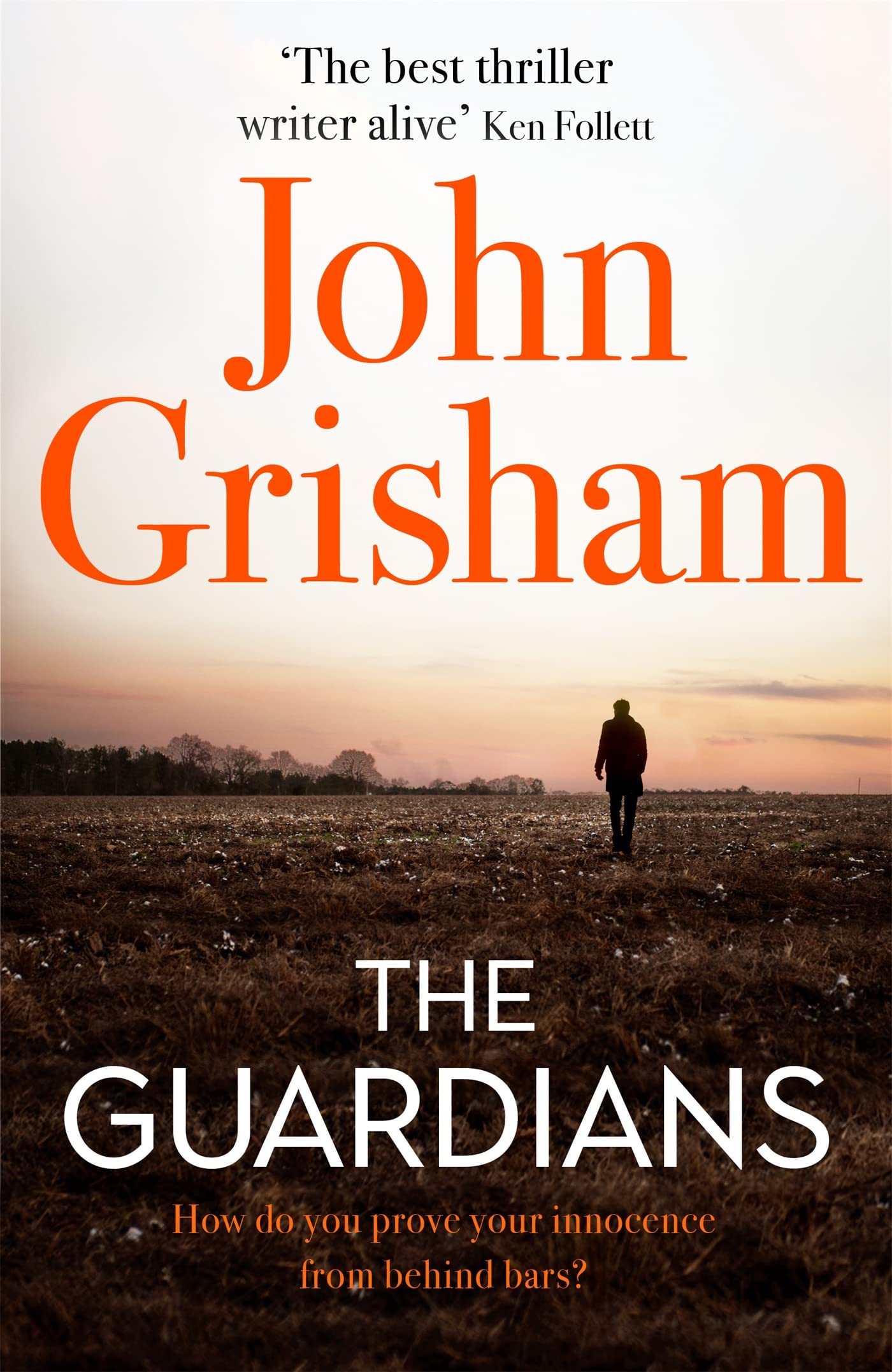 New Legal Thriller Novel - Best Courtroom Drama & Suspense Books for Adults - Perfect for Book Clubs & Reading at Home