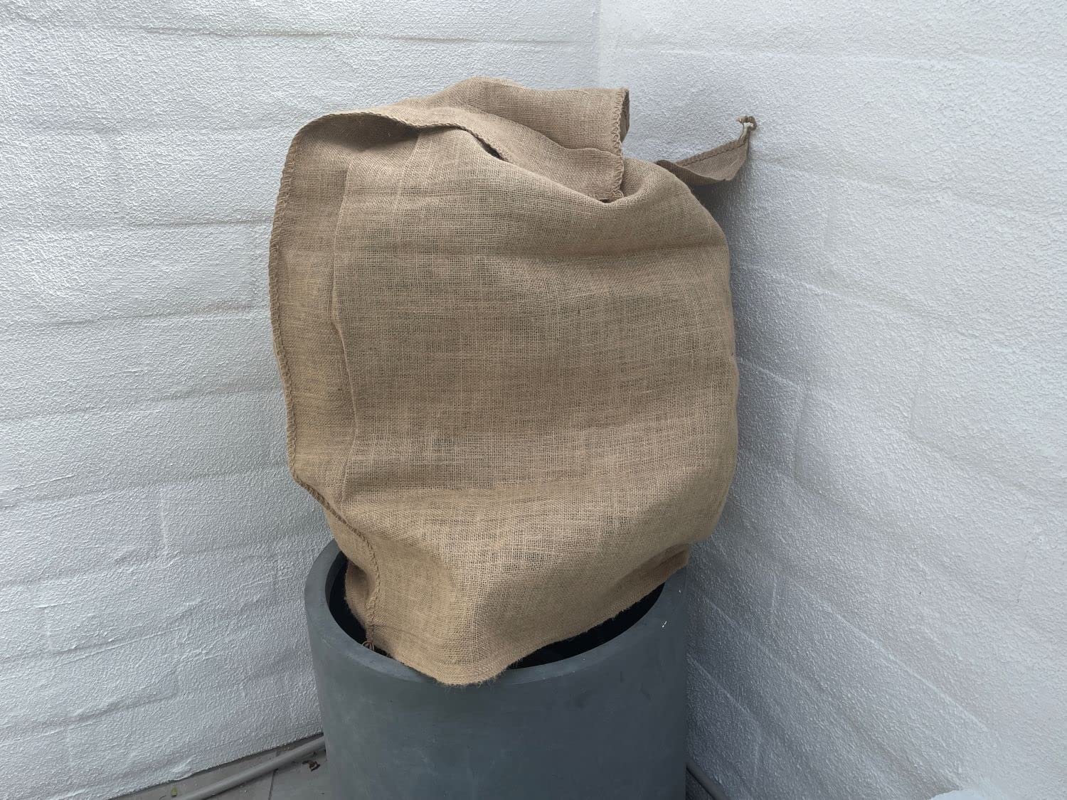 Sandbaggy 36