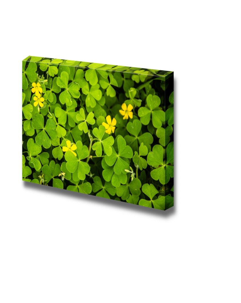 Roadside Grass Canvas Wall Art Print - 16x24 Inches - Modern Home & Office Decor for Living Room, Bedroom, or Office