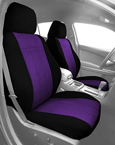 Purple Insert with Black Trim