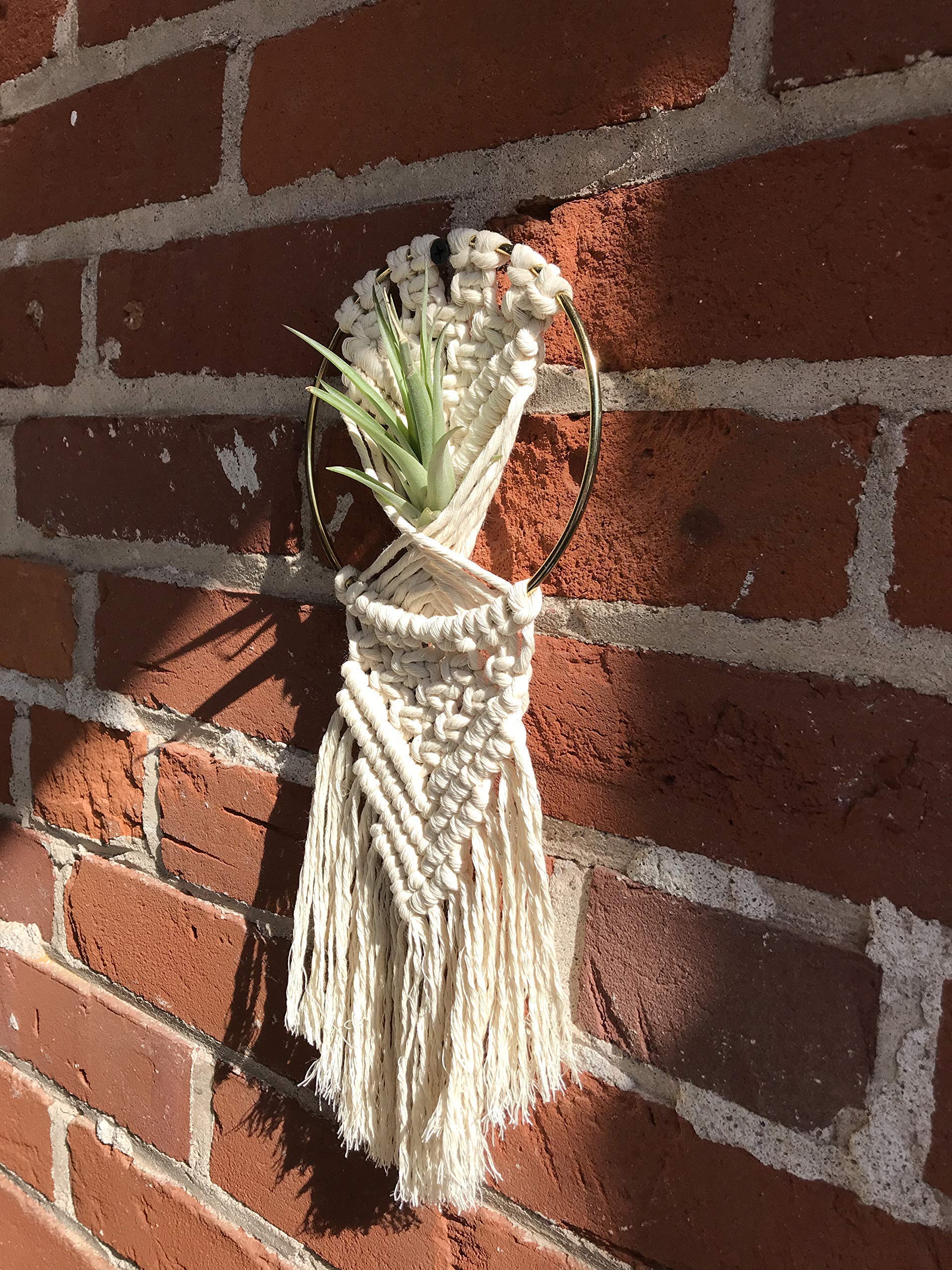 DIY Macrame Air Plant Hanger Kit - Handmade Boho Home Decor for Indoor Plants, Wall Hanging or Gift - Perfect for Living Room, Bedroom, Balcony & Office Decor