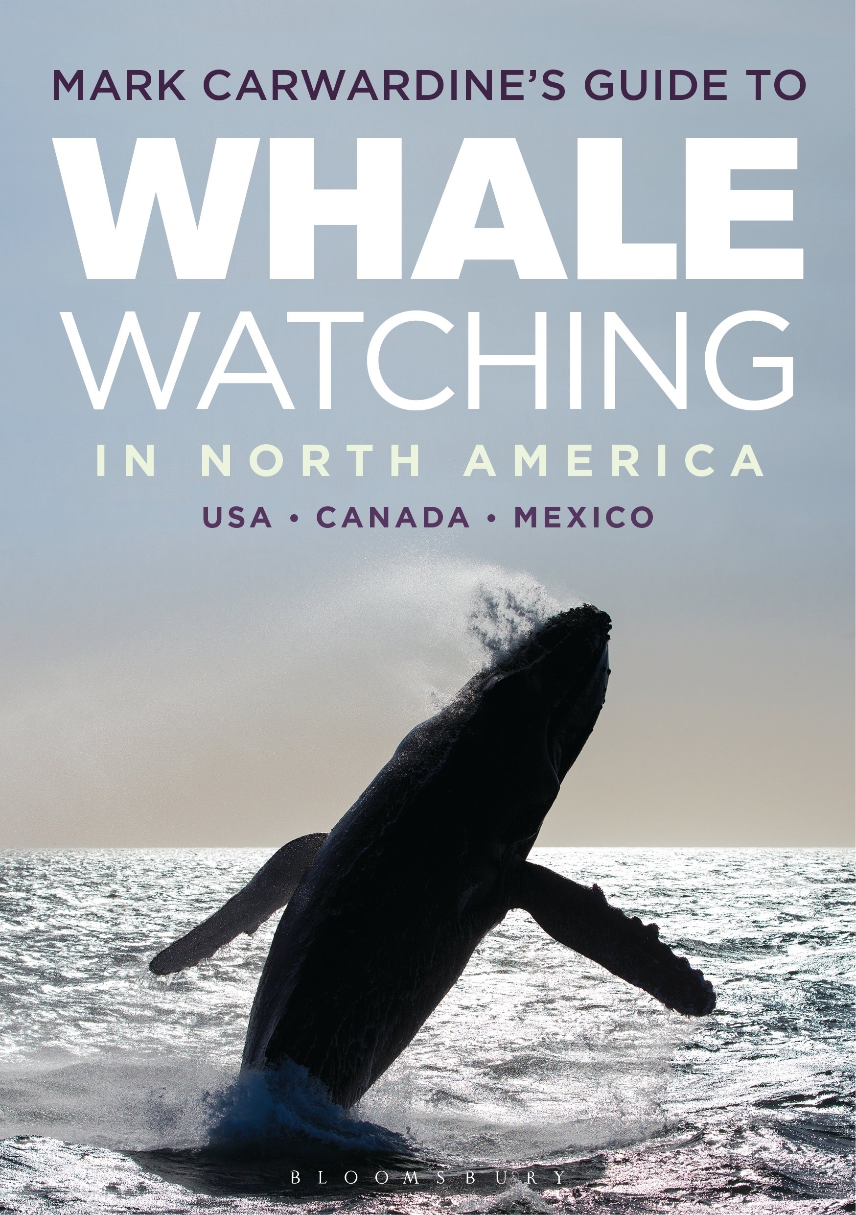 Mark Carwardine's Ultimate Guide to Whale Watching in North America | Best Spots, Seasons & Tips for Whale Watching Tours | Perfect for Marine Wildlife Enthusiasts & Eco-Tourists