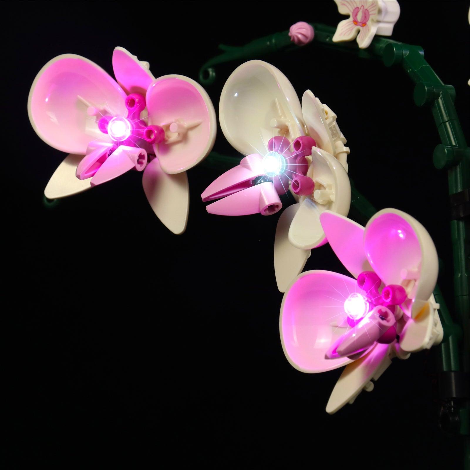 Premium LED Light Kit for Lego Ideas Orchid Flowers Building Set 10311 - Enhance Your Botanical Display with Custom Lighting for Home Decor & Gift Giving