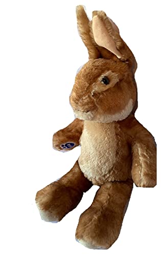 Weighted Stuffed Animal Bunny - 4 lbs Peter Rabbit Plush Toy, Washable & Soft Stress Relief Companion for Kids & Adults | Perfect for Anxiety Relief, Sleep Aid, and Sensory Therapy