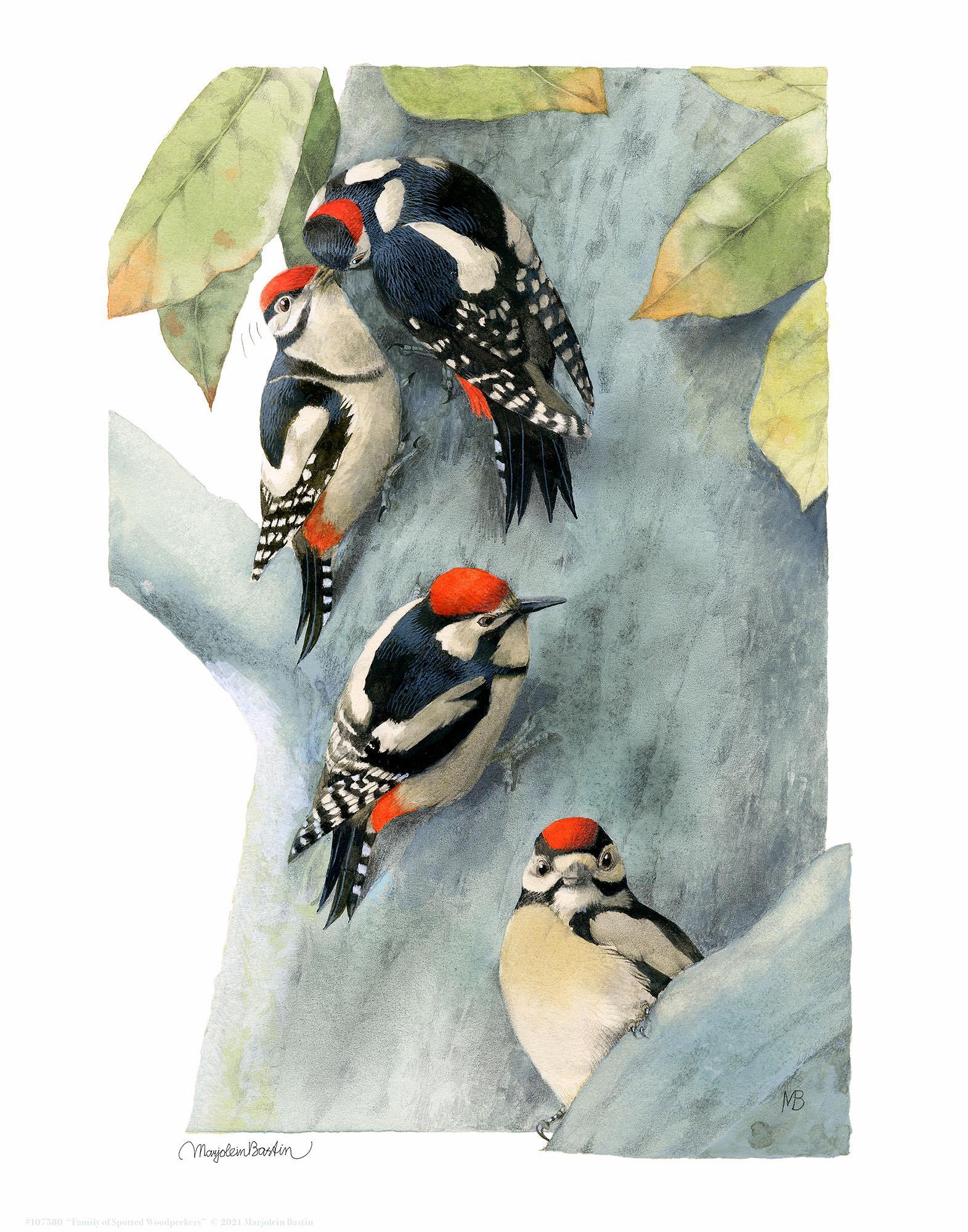 Spotted Woodpecker Family - Realistic Bird Figurine Set for Home Decor, Nature Lovers & Educational Use | Perfect for Kids' Room, Classroom & Wildlife Collections