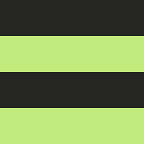 P. Black & Green Stripes