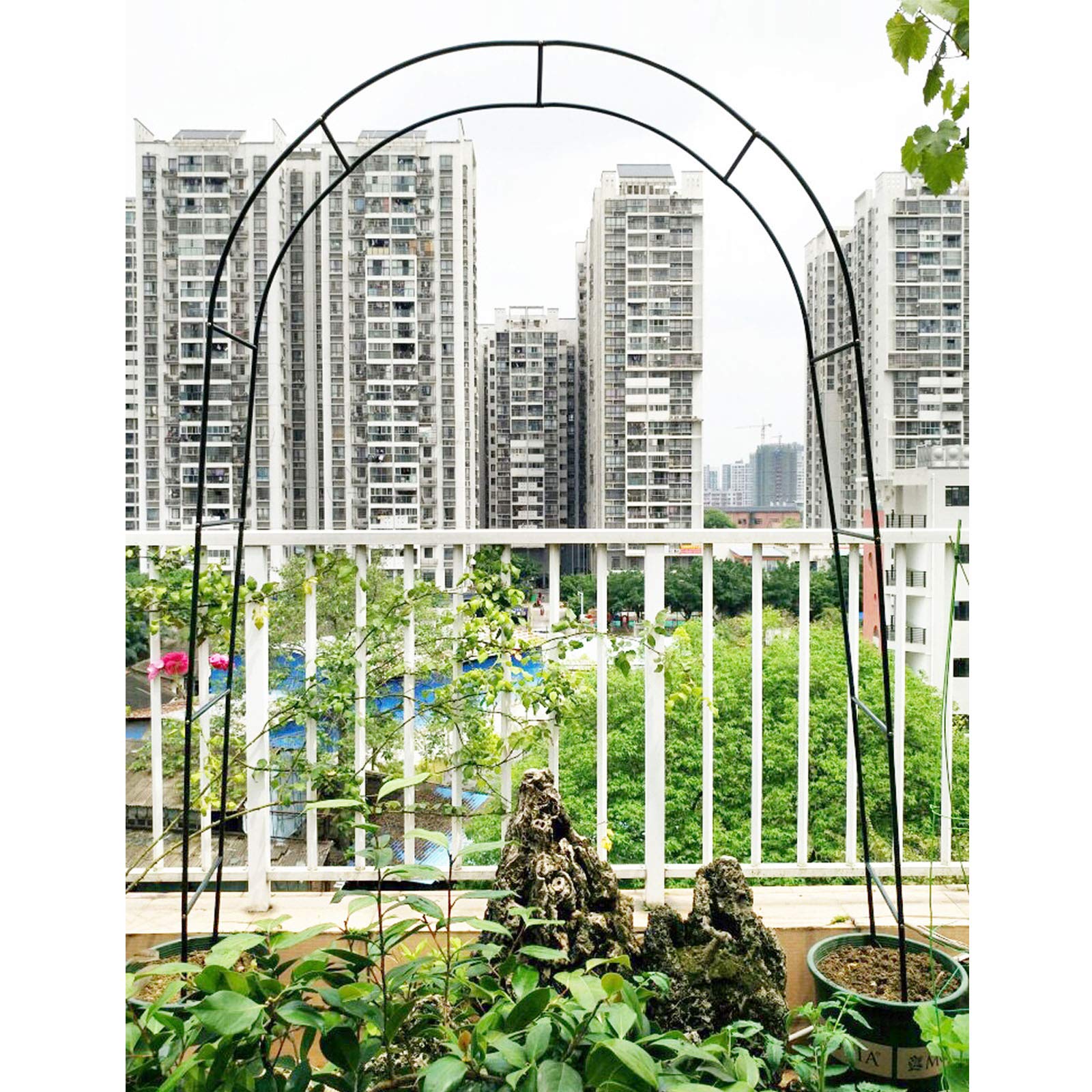 A Garden of Love: The Story Behind the Rose Archway