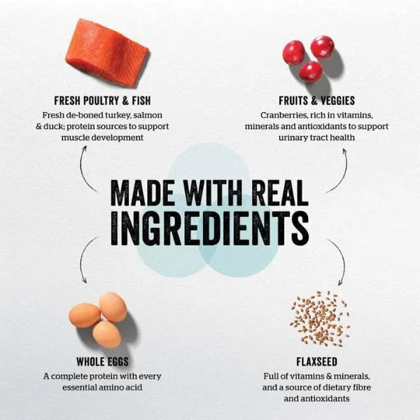 Now Fresh Turkey, Salmon & Duck Recipe Large Breed Dry Puppy Food - Premium Grain-Free Nutrition for Growing Big Dogs - Perfect for Active Puppies & Large Breed Development