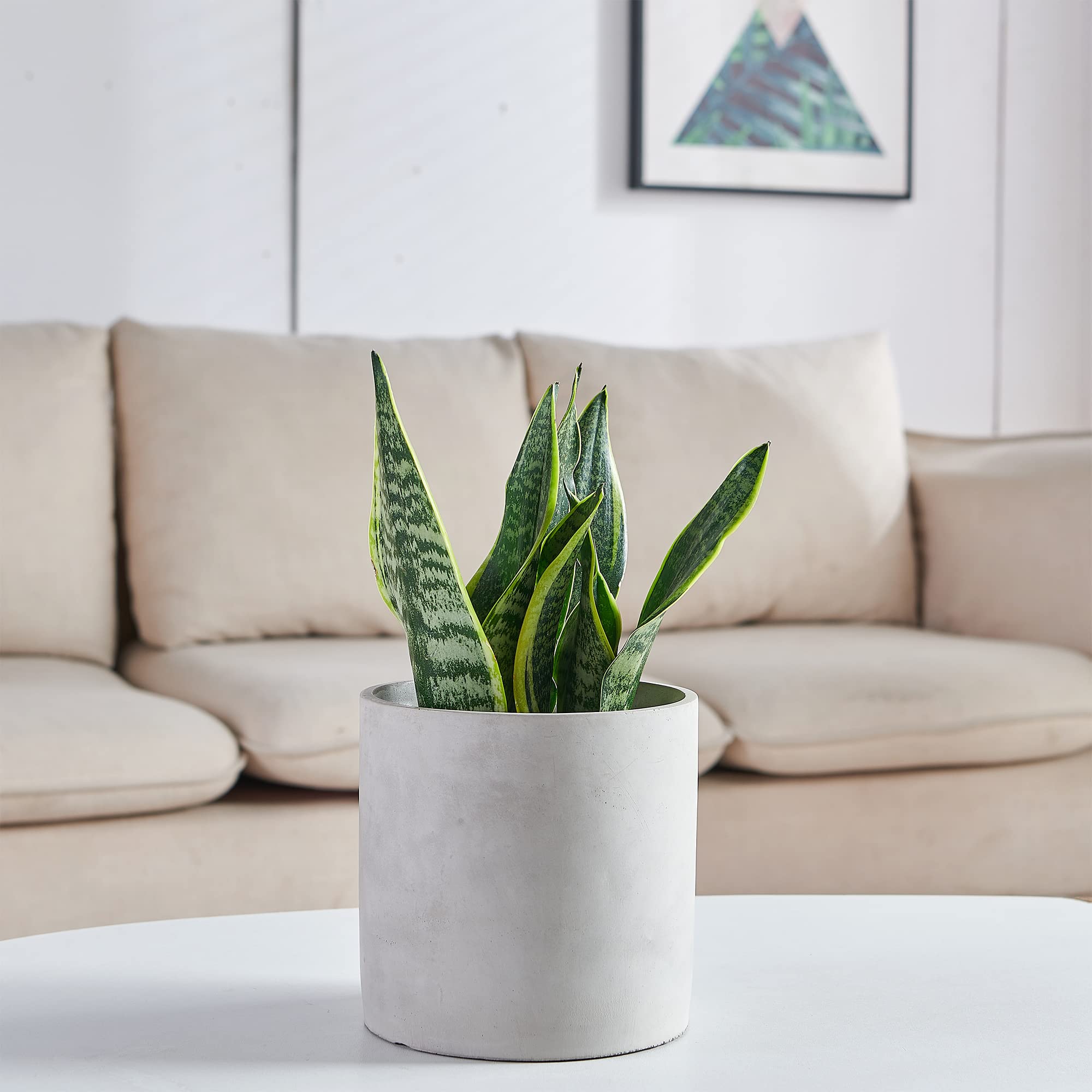 Modern 4.7 Inch Grey Cement Planter with Drainage Hole - Indoor Outdoor Plant Pots for Succulents, Herbs & Small Flowers - Perfect for Home, Office & Garden Decor (Plant Not Included)