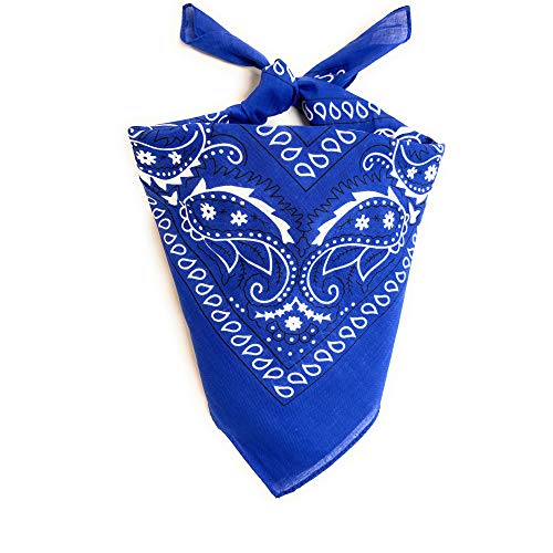 Royal Blue Paisley