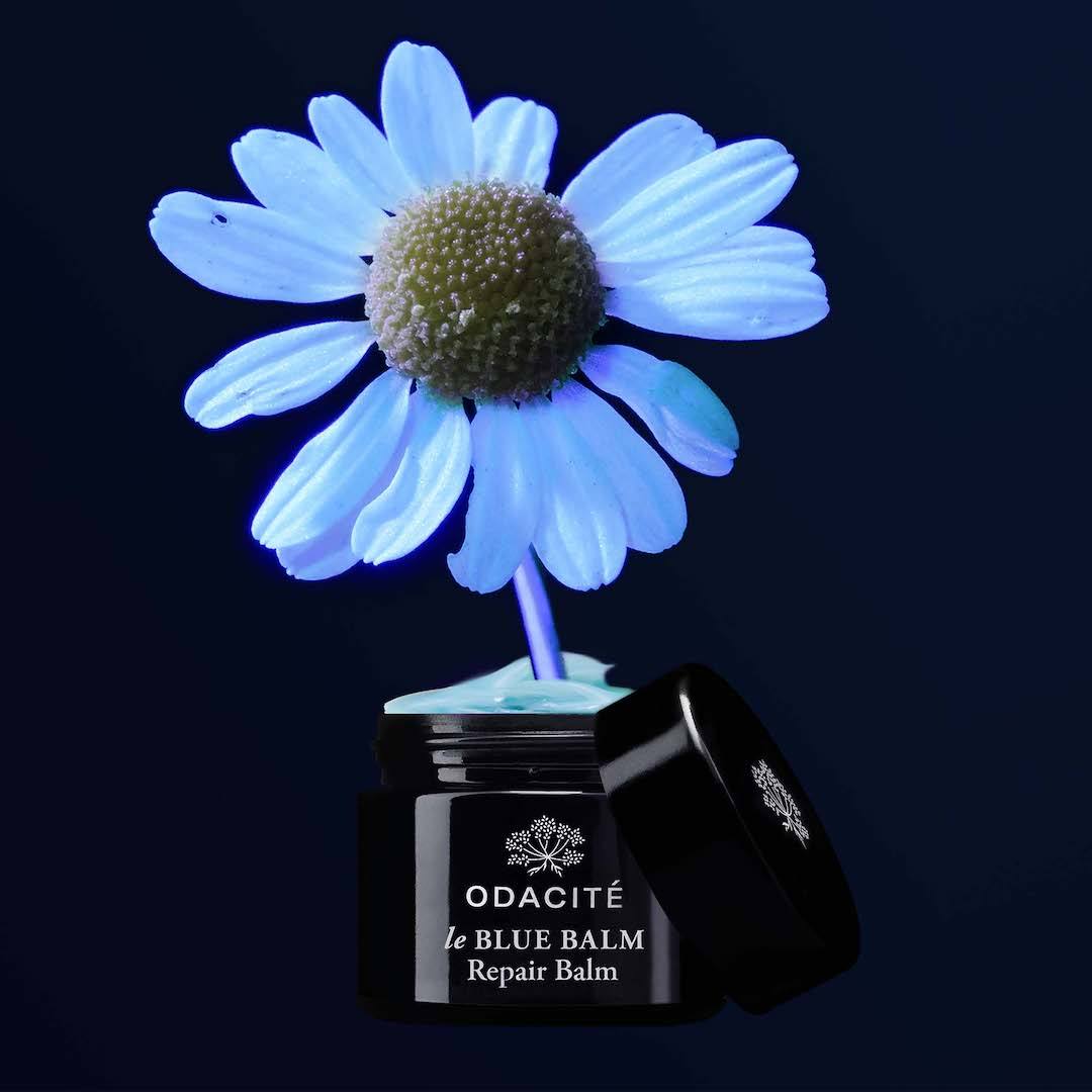Le Blue Balm - Soothing Muscle & Joint Pain Relief Cream for Athletes & Active Lifestyles | Perfect for Post-Workout Recovery & Daily Comfort