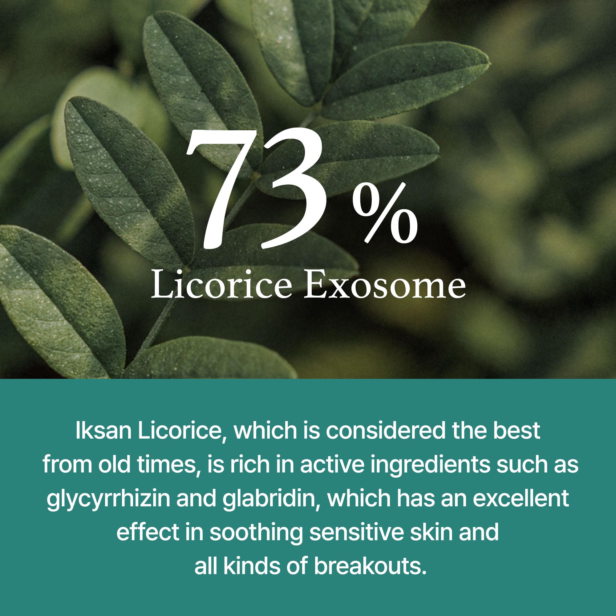 I'm from Licorice Soothing Ampoule - 73% Korean Licorice Extract with Exosome Technology, Non-Comedogenic, 1.01 Fl Oz - Calms Irritated Skin & Reduces Redness for Sensitive & Acne-Prone Skin