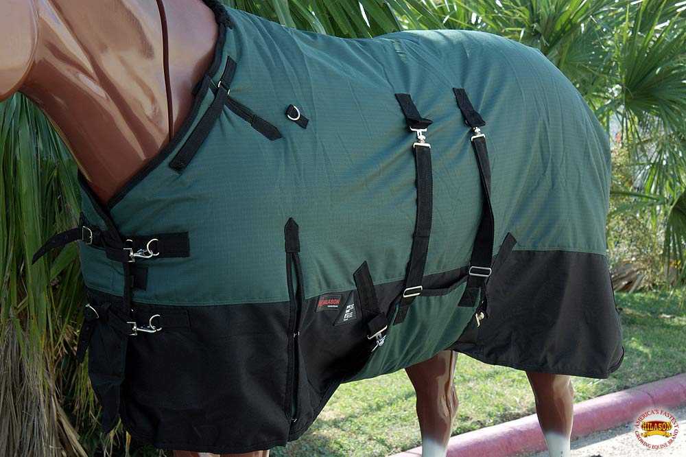 HILASON 1200D Winter Waterproof Poly Horse Blanket with Belly Wrap - 66 Inch Green | Heavy Duty Horse Rug for Cold Weather | Ideal for Trail Riding, Stable Use & Outdoor Protection
