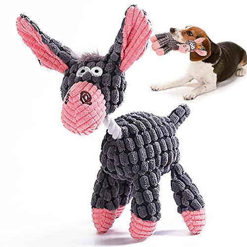 Donkey