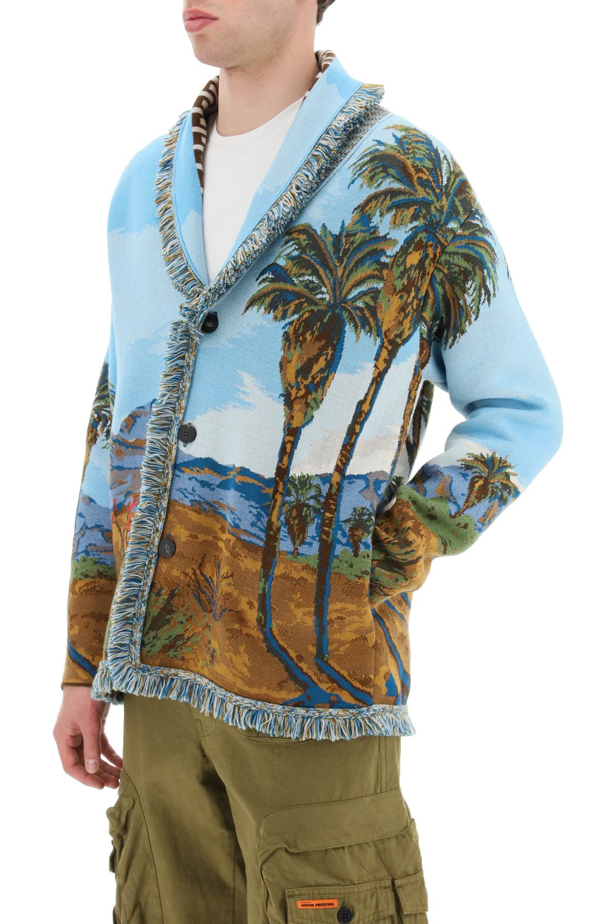Alanui 'Land of Dreams' Jacquard Cardigan - Cozy Knit Sweater for Women | Perfect for Fall Layering & Casual Outfits
