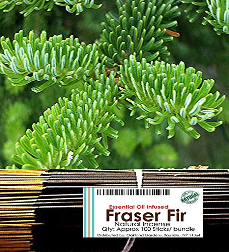 Frasir Fir