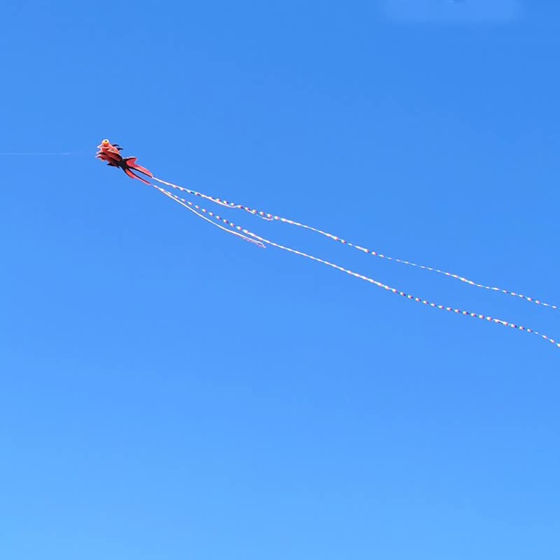 Rainbow Goldfish Soft Kite for Kids & Adults - 30M Flight Line with Reel - Perfect for Beach, Park & Outdoor Family Activities