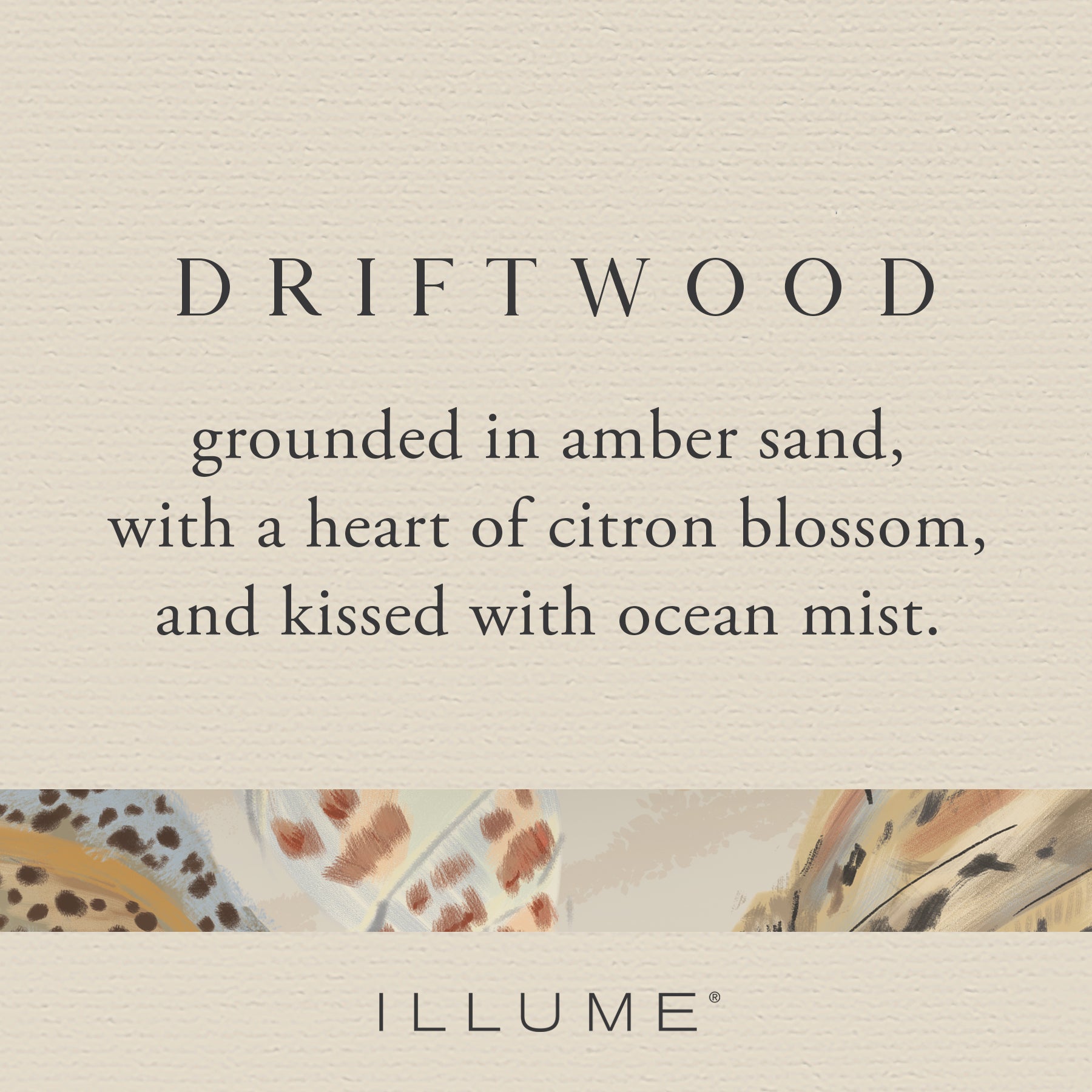 Natural Driftwood Demi Vanity Tin Candle - Handmade Scented Soy Wax Candle for Home Decor, Bathroom & Relaxation - Perfect for Romantic Dinners, Spa Nights & Cozy Evenings