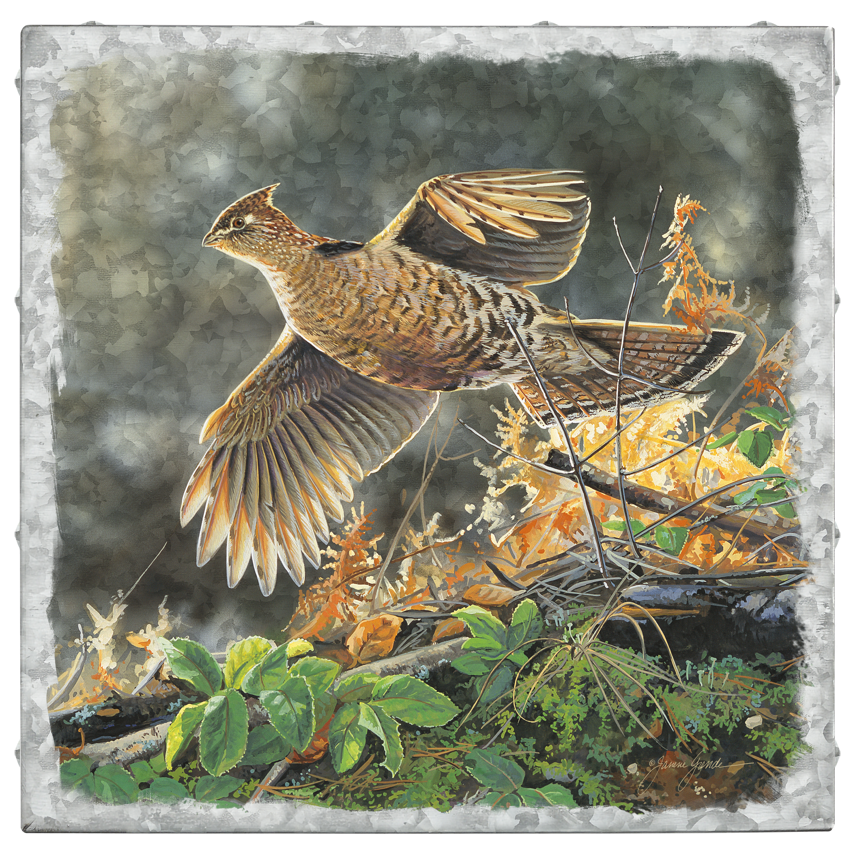 Fast and Furious Ruffed Grouse 14x14 Metal Box Art - Vintage Style Wall Decor for Home, Office & Cabin - Perfect Gift for Movie & Nature Lovers