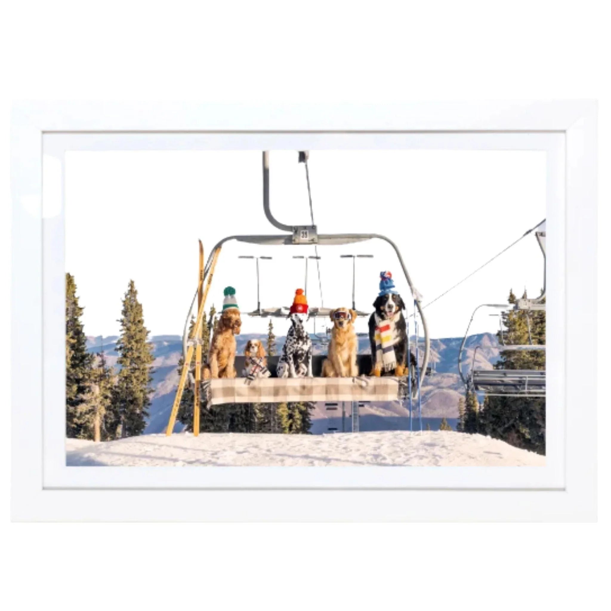 Gray Malin Chairlift Pups Aspen Horizontal Mini Framed Print - Cute Dog Wall Art for Living Room, Bedroom & Office Decor