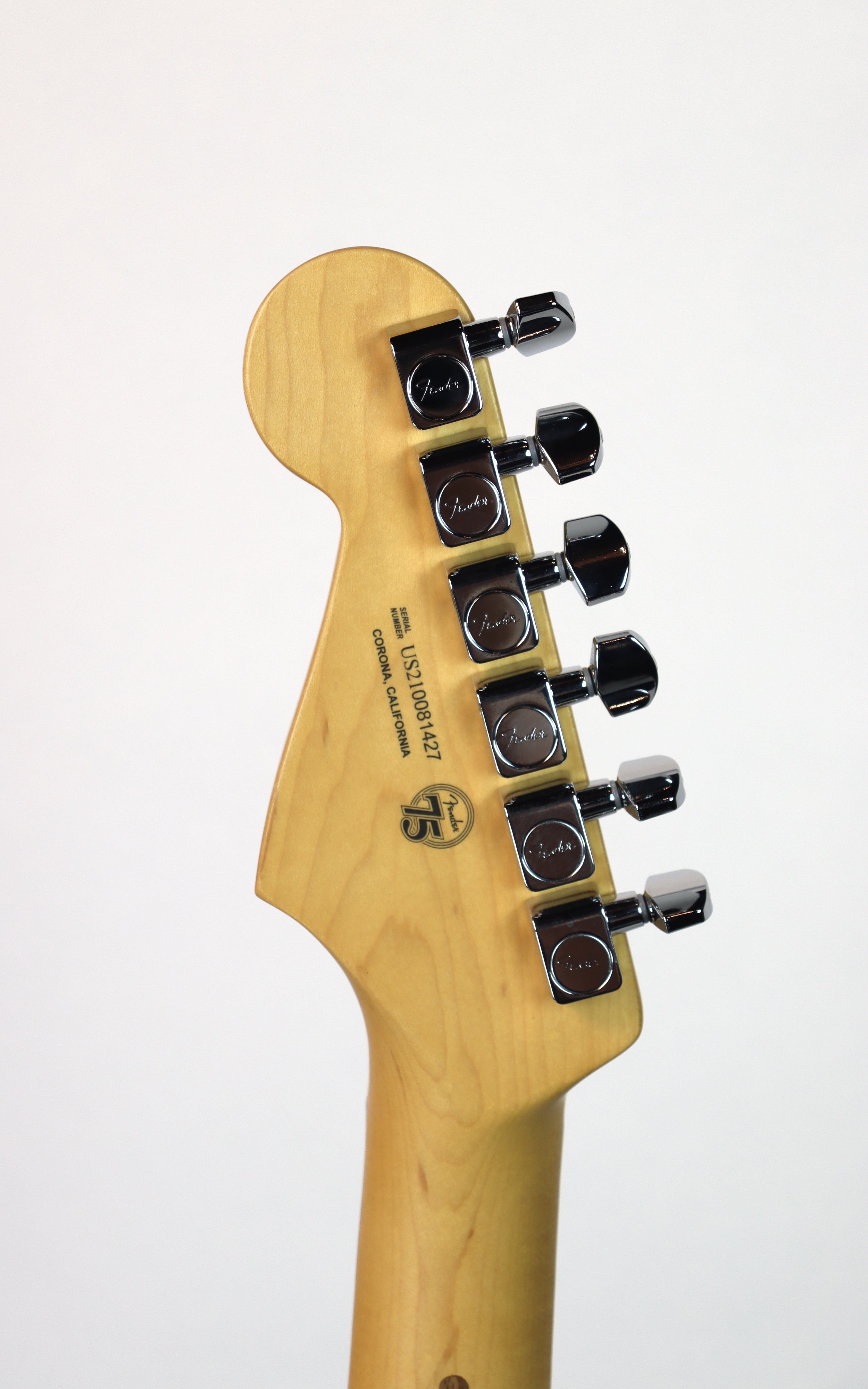 Fender American Professional II Stratocaster RW Olympic White Electric Guitar - Premium Maple Neck, Professional Sound for Stage & Studio