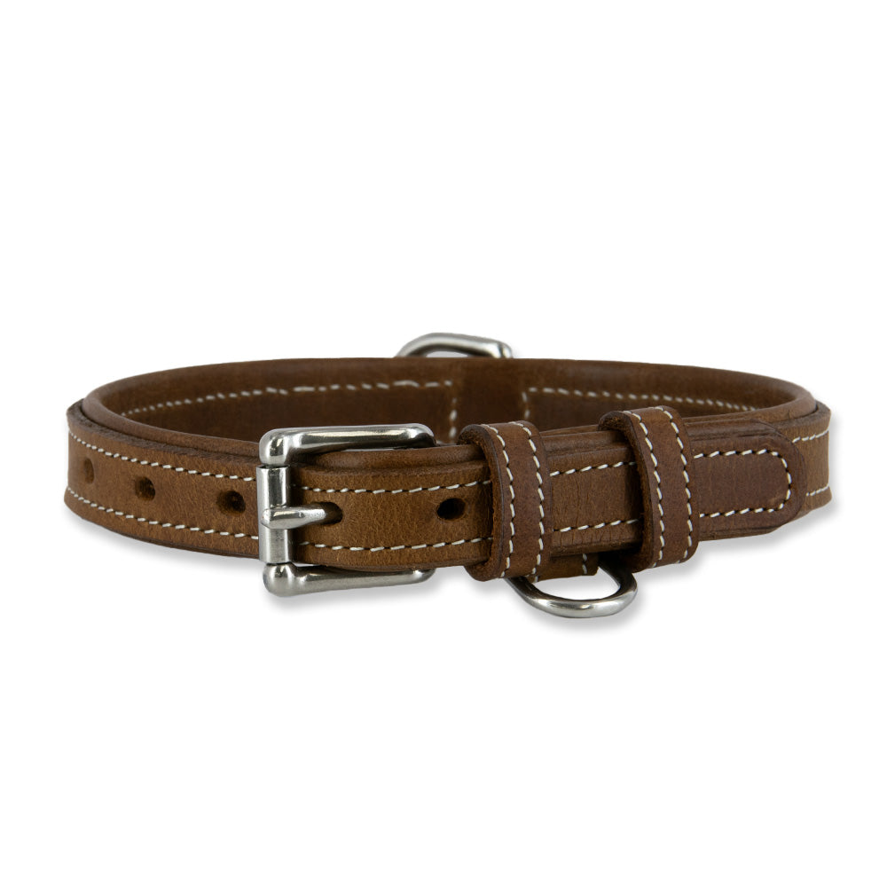 Kodak Collar - Genuine USA Made Leather Dog Collar - Durable & Stylish for Daily Walks, Training & Outdoor Adventures