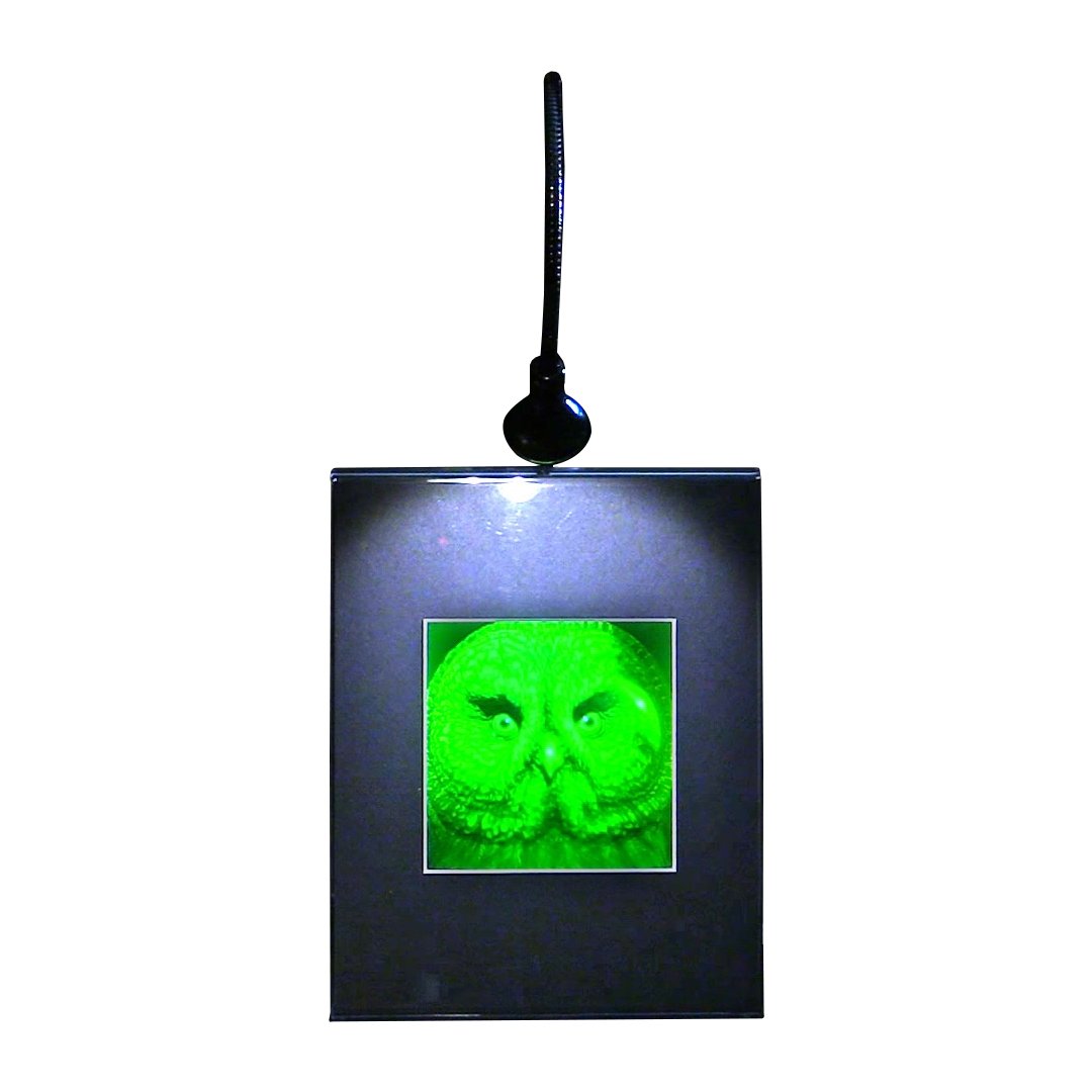 3D Birds of Prey Hologram Picture - LED Lighted Desk Stand with Polaroid Photopolymer Film - Collectible Home & Office Decor for Fans - Perfect for Bedroom, Study Room, and Gift Giving