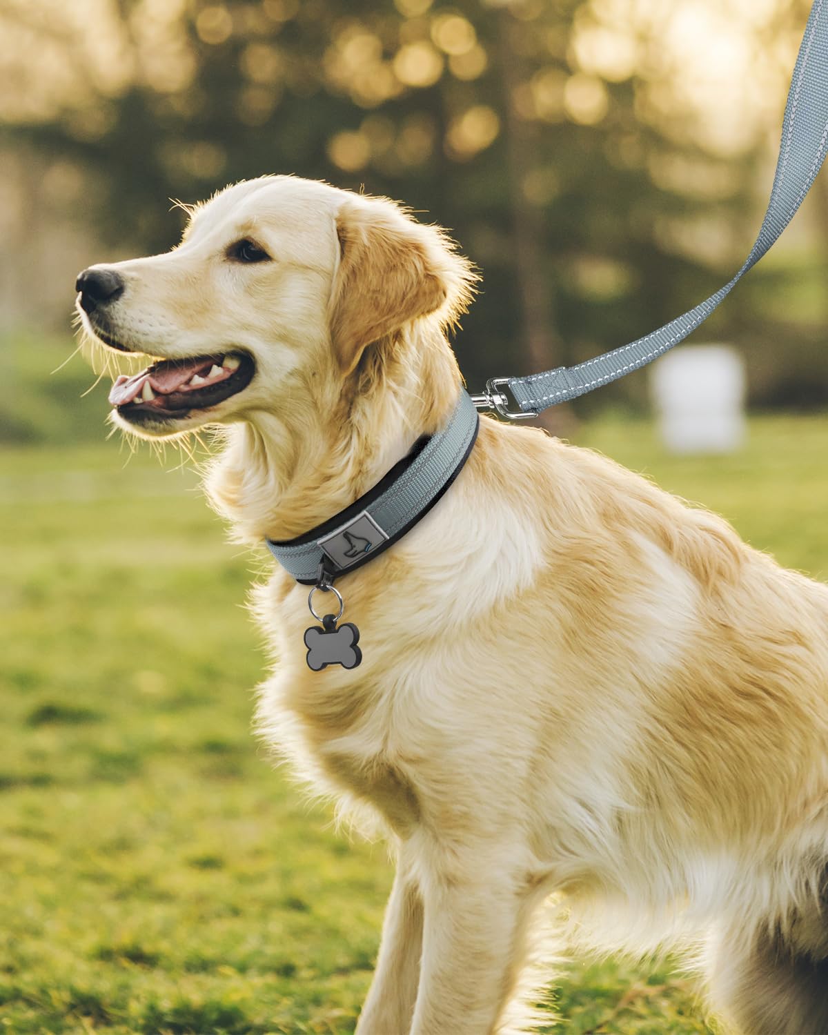 Joytale Neoprene Padded Adjustable Reflective Dog Collar for Large Dogs - Heavy Duty Pet Collar with Durable Metal Buckle for Walking, Training & Outdoor Adventures (Gray, Large)