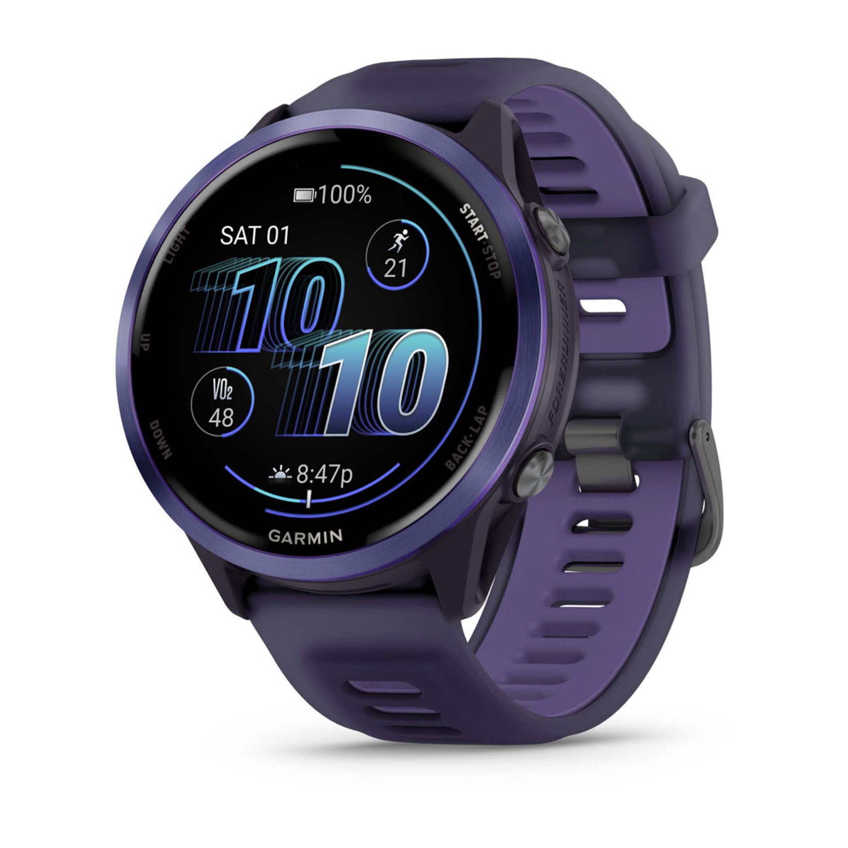 Imperial Purple / Indigo