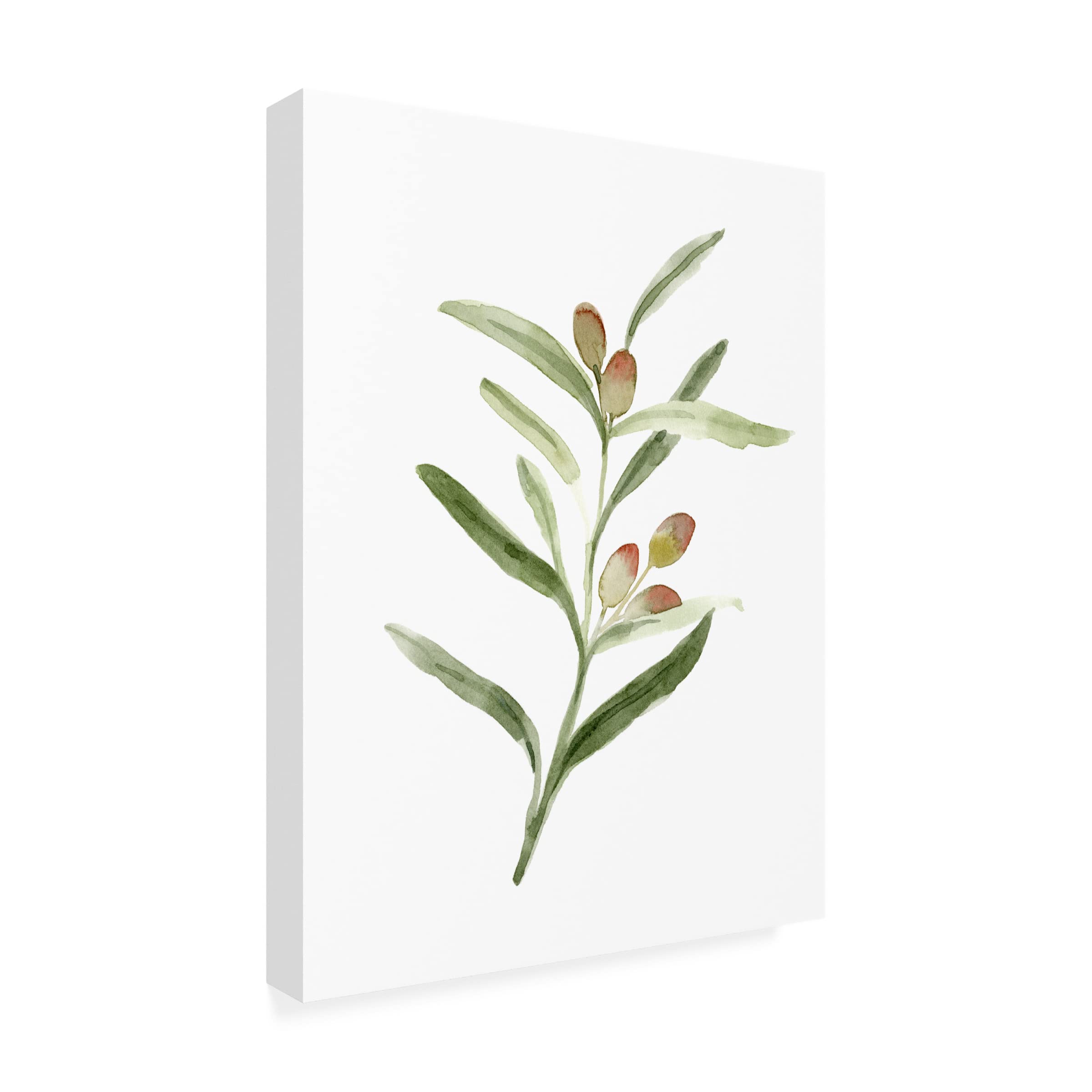 Emma Caroline 'Sweet Olive Branch II' Canvas Art Print - Elegant Floral Wall Decor for Living Room, Bedroom & Office | Trademark Fine Art