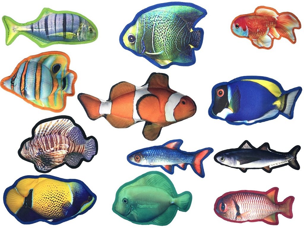 Dogline Tropical Fish Collection Dog Chew Toys - 10 Inch Blue Tang Plush for Small & Medium Dogs - Perfect for Playtime, Training & Cuddling