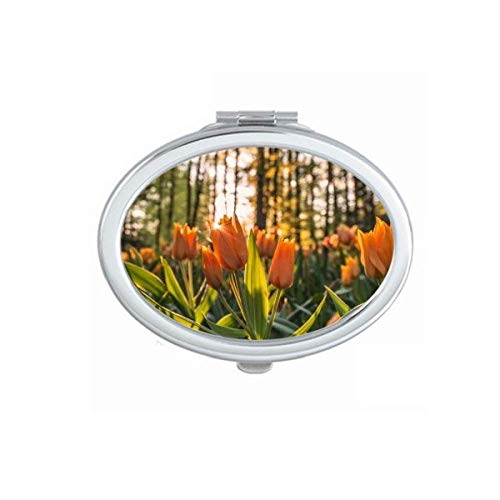 DIYthinker Portable Folding Double-Sided Makeup Mirror with Flower & Nature Scenery Design - Perfect for Travel, Home Vanity, and Professional Makeup Artists