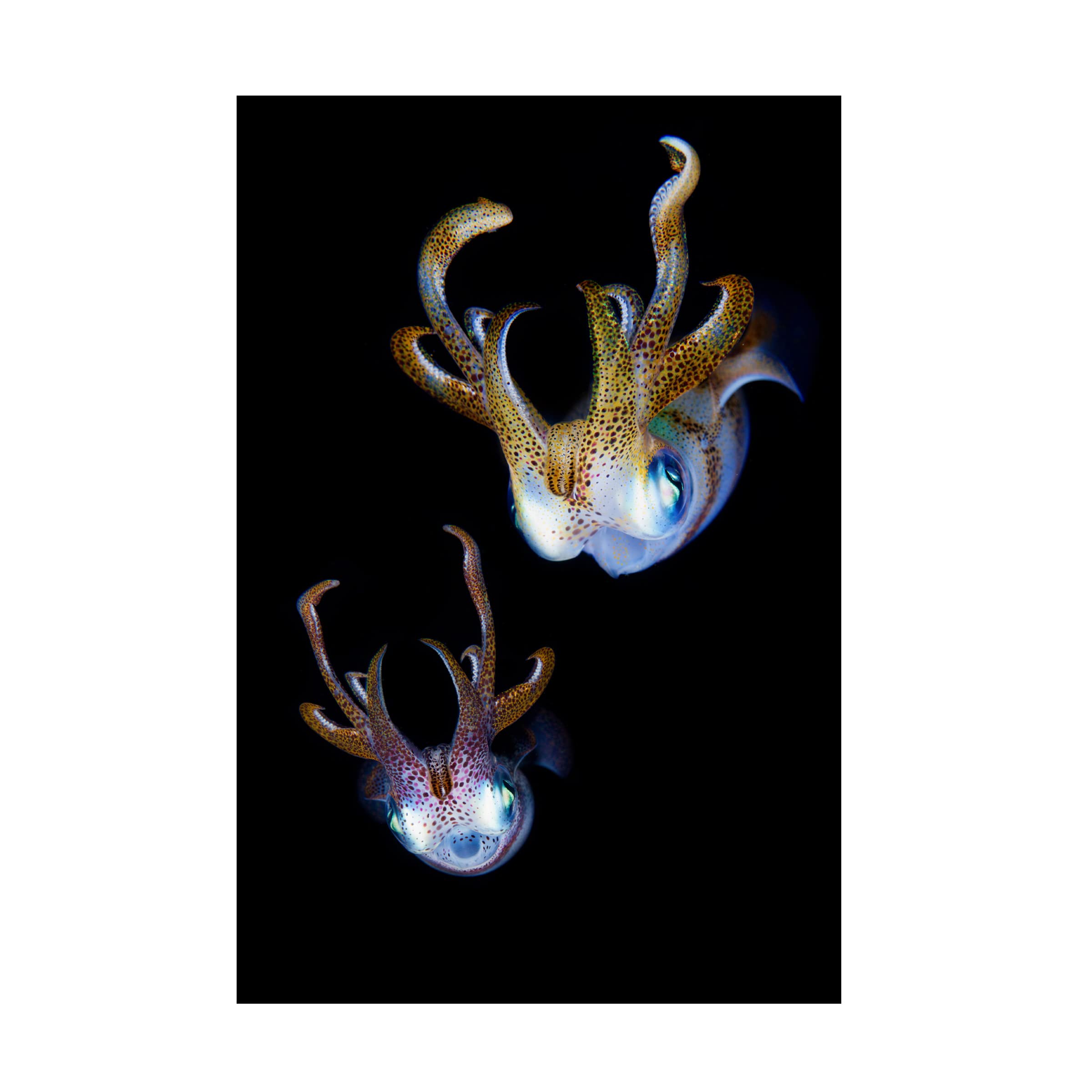 Trademark Fine Art 'Aliens' Canvas Wall Art Print by Andrey Narchuk - Sci-Fi Home Decor for Living Room, Bedroom & Office