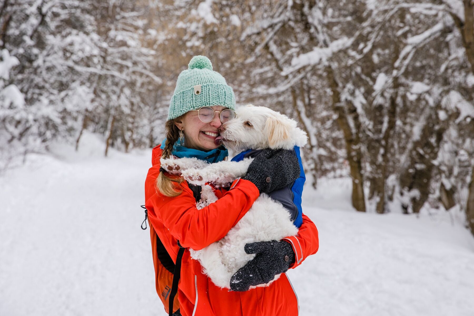 Ruffwear Powder Hound Hybrid Dog Jacket - Blue Pool | Waterproof & Insulated Winter Coat for Active Dogs | Hiking, Snow Play & Outdoor Adventures