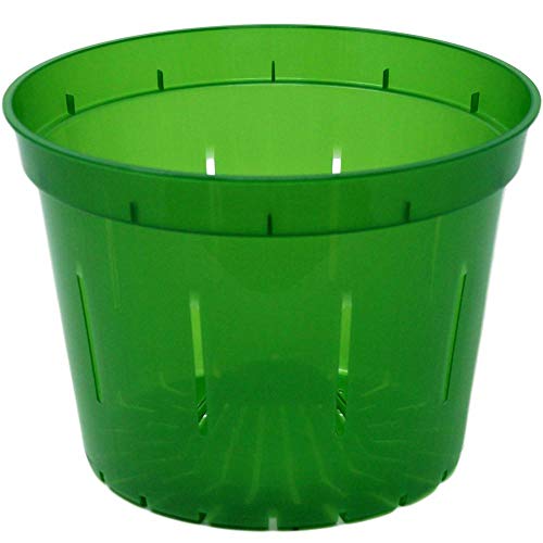 Green Emerald