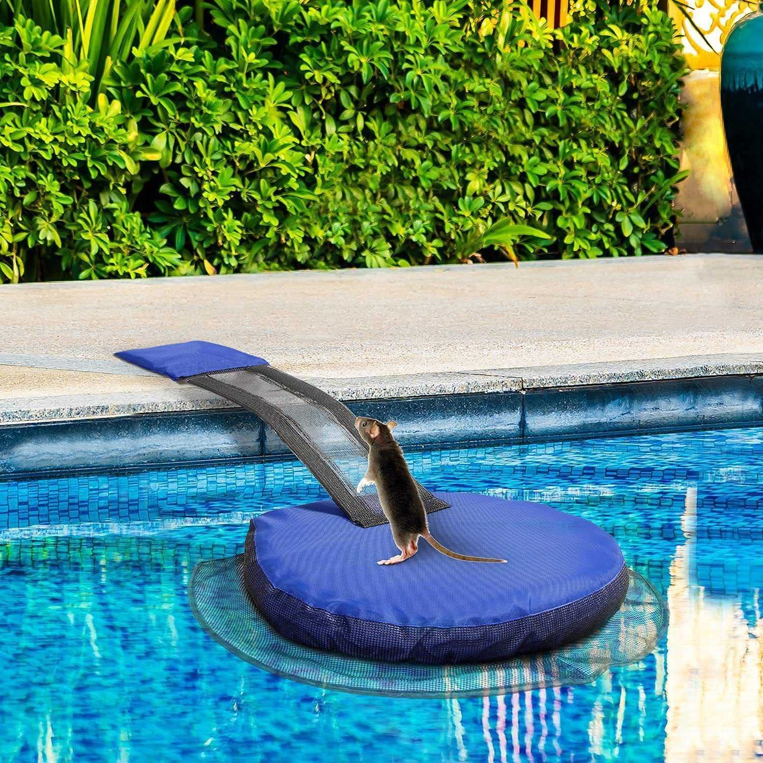 **Kedelack Blue Inflatable Animal Rescue Ramp for Pools & Spas – Easy Setup Floating Escape Ramp, Saves Frogs & Small Critters – Perfect for Backyard Pools, Pet Safety & Wildlife Protection**