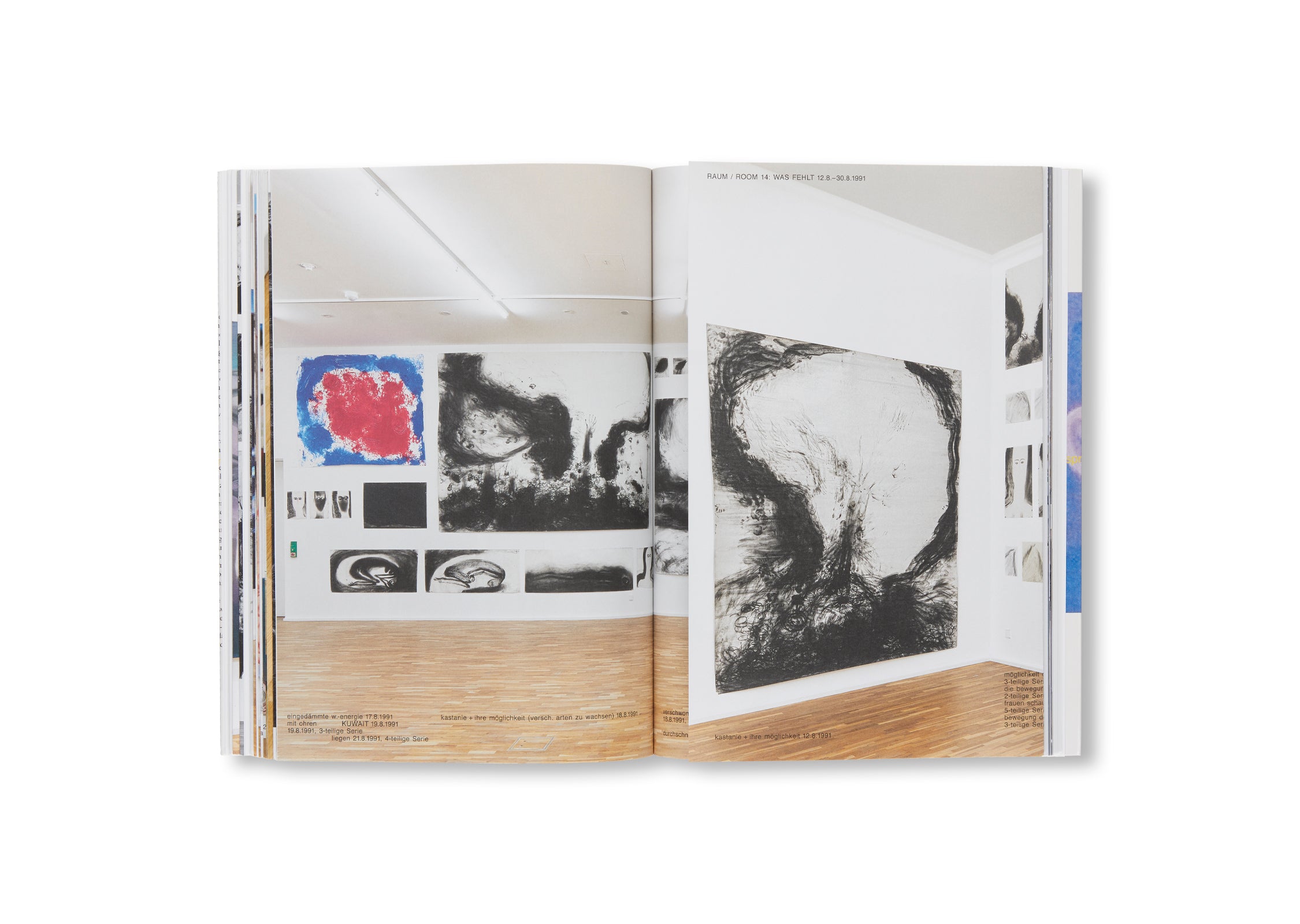 MEINEJUDEN by Miriam Cahn - Contemporary Art Book Collection | Jewish Art & Culture Exploration | Perfect for Art Lovers, Collectors & History Enthusiasts
