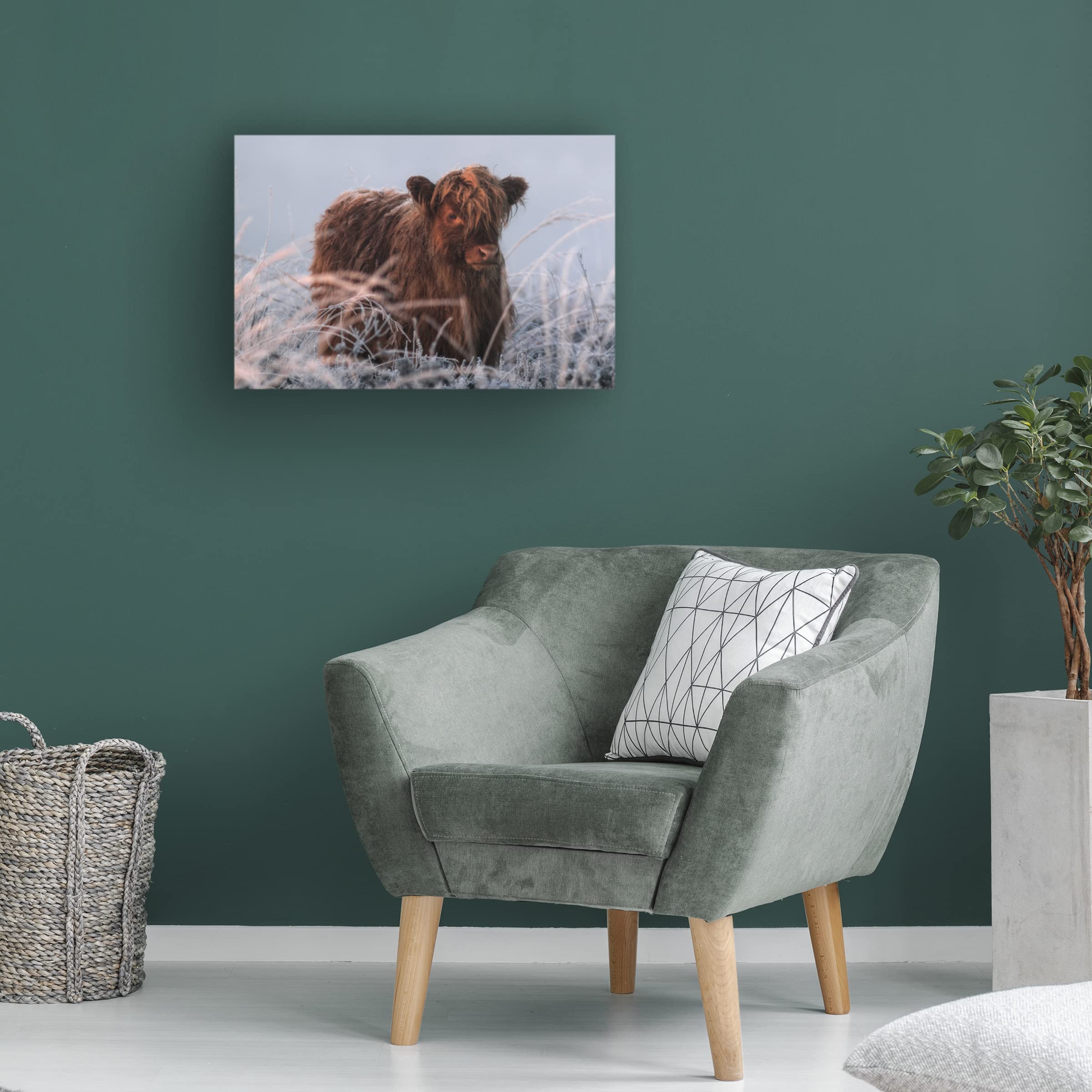 Trademark Fine Art 'Little Highlander' Canvas Art Print by Jaap Van Den - Highland Landscape Wall Decor for Living Room, Bedroom & Office