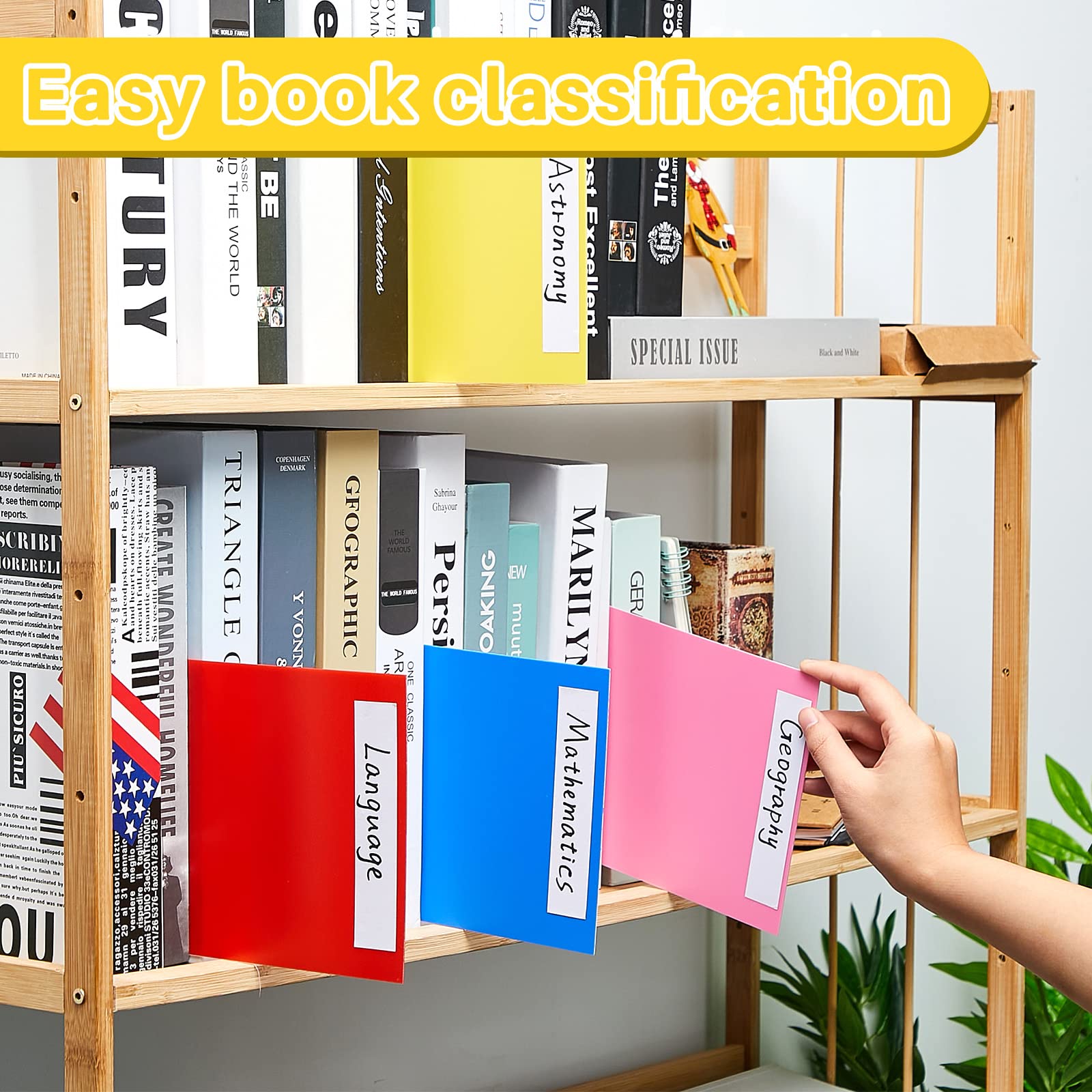 18 Pack Colorful Plastic Book Shelf Dividers - 6 x 12 Inch Library Shelf Organizers with 36 Stickers, Classroom Supplies for School, Office & Home Organization (Assorted Colors) - Perfect for Classroom Libraries, Bookstores & Home Bookshelves