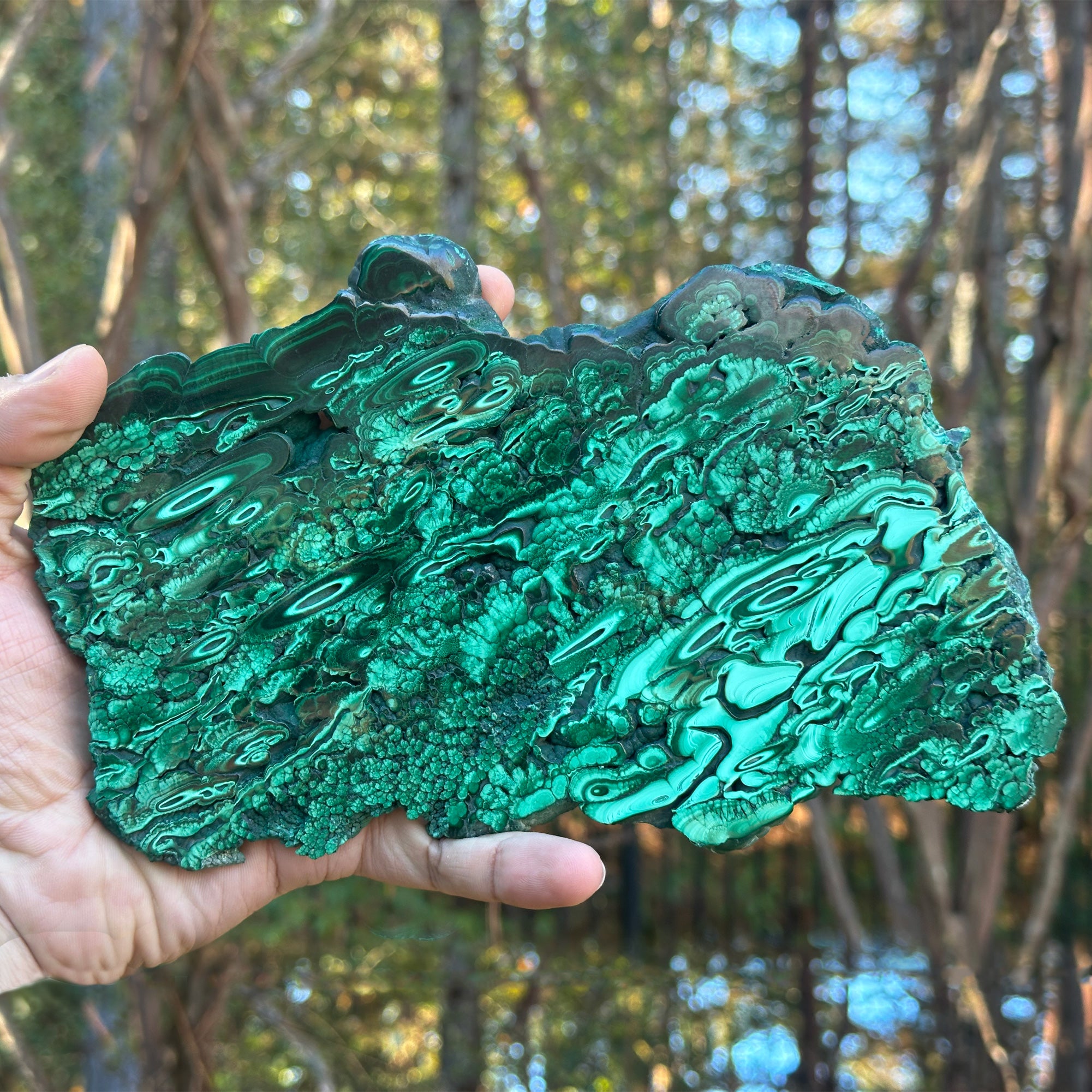 Natural Malachite Crystal Slab - Polished Gemstone Slice for Collectors, Crafts & Home Decor | Green Banded Malachite Stone Specimen RSL044 | Healing Crystal Display, Jewelry Making & Meditation Decor