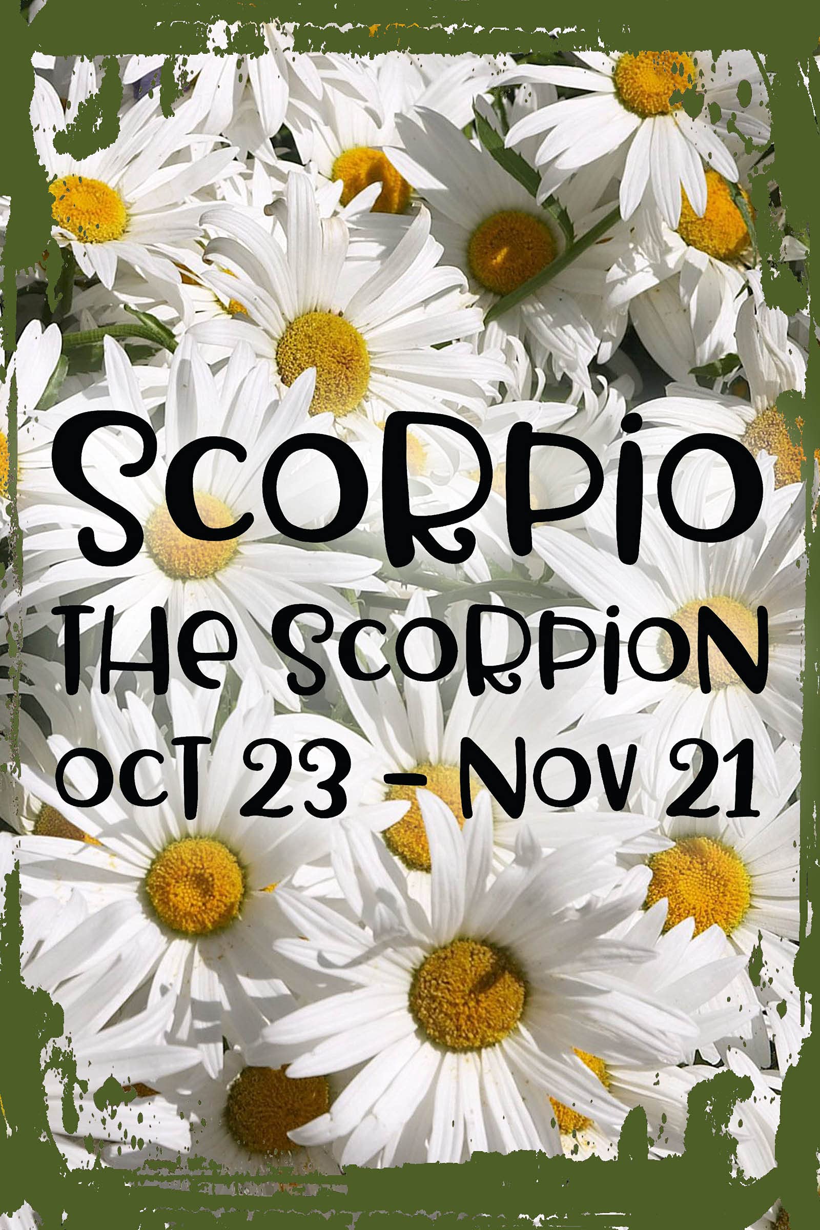 Scorpio Zodiac Sign Wall Art - Daisy Flower & Scorpion Design, Oct 23-Nov 21 Birthday Gift, 8x12 Inch Astrology Decor for Home, Office, or Funny Gift