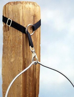 Shires Bucket Strap - Adjustable Leather Horse Bucket Holder for Stable & Trail Riding - Durable Equestrian Accessory for Water & Feed Buckets (Perfect for Barns, Farms & Outdoor Horse Care)