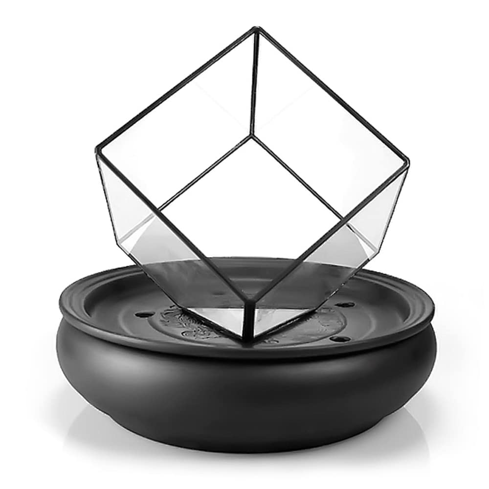 Premium Glass Cutlery Tray with Dry Ice Smoke Effect - Unique Irregular Shaped Serving Dish for Appetizers, Sushi & Desserts | Elegant Food Display Container for Home Kitchens, Restaurants & Hotels | Perfect for Parties, Buffets & Fine Dining Presentations